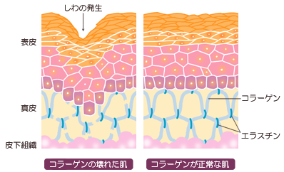 スキンケア基礎知識 Give Give ギブアンドギブ オフィシャルサイト